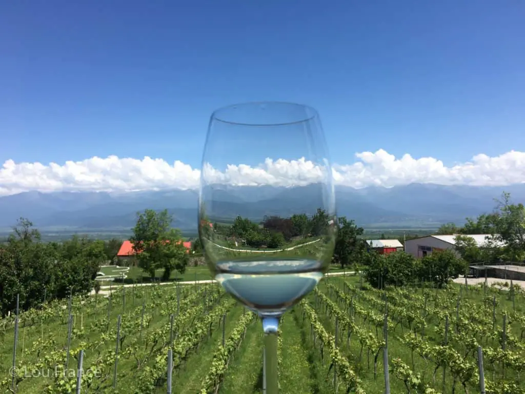 The best time of year to visit Georgia for wine tasting is in May or September