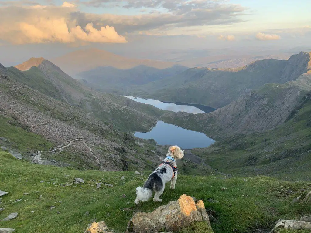 Views from the Llanberis path