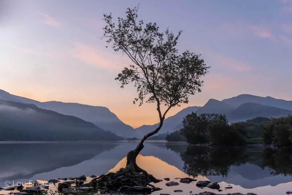 the lone tree is a top place for photography in North Wales