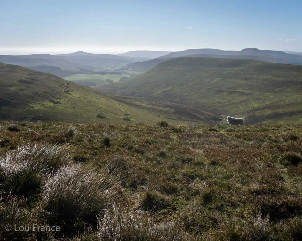 Views on a Waun Fach walk