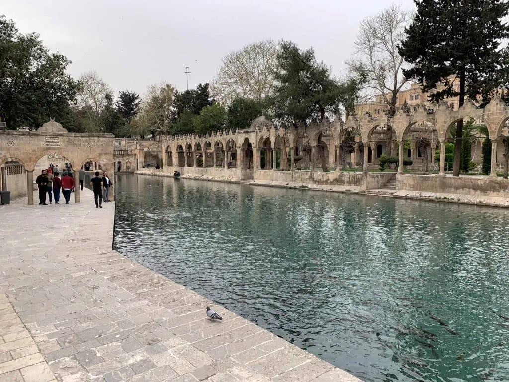 Balikgol in Golbasi Park is one of the best things to do in Sanliurfa