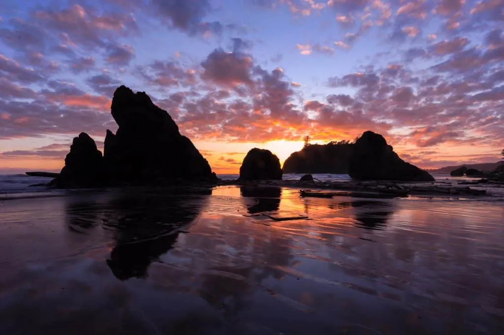 Olympic national park is a diverse western states national park