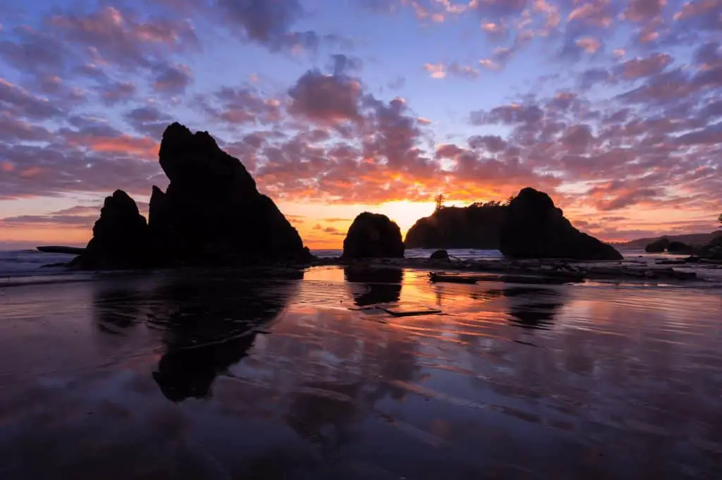 Olympic national park is a diverse western states national park