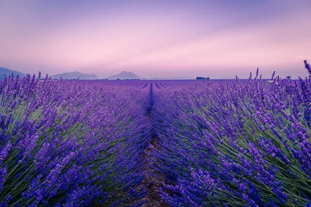 A trip through Provence is a classic road trip in Europe