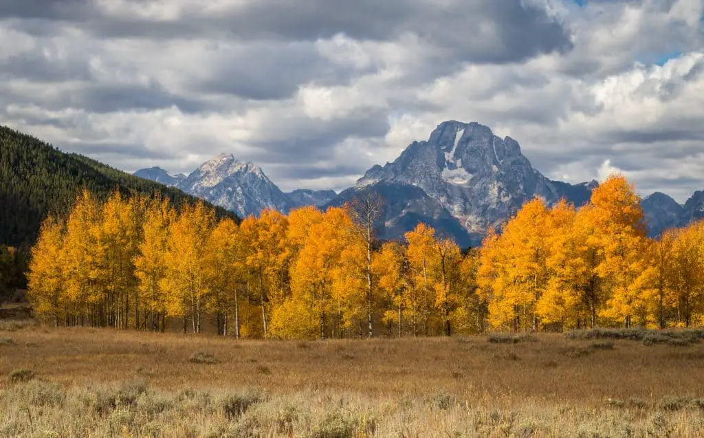 The colors of fall at Grand Teton National Park