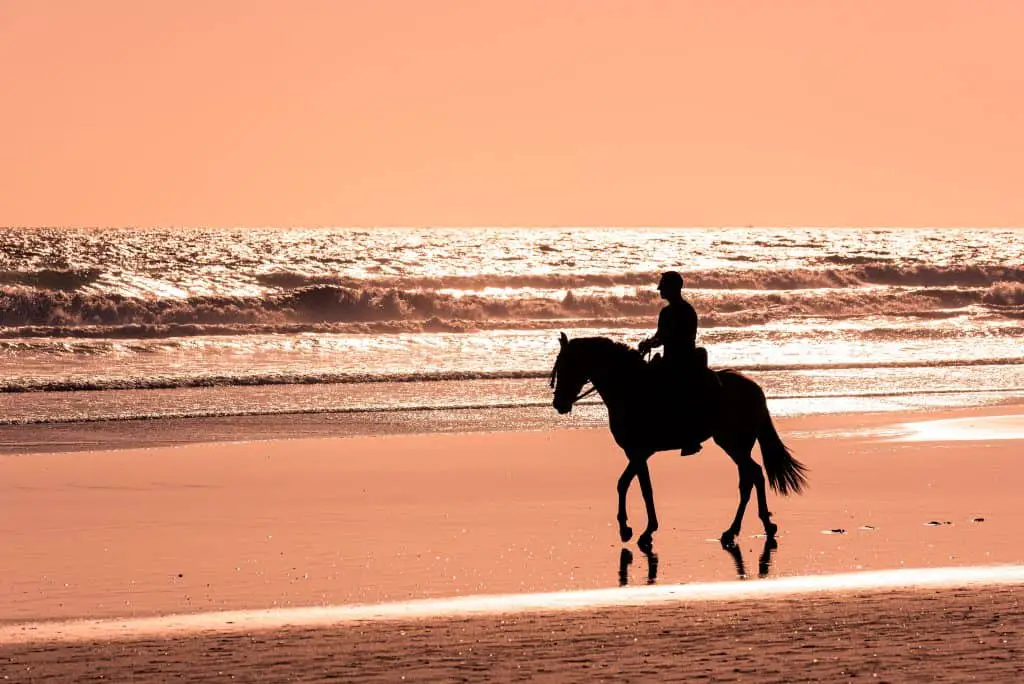 In Sayulita things to do include horseback riding along the beach