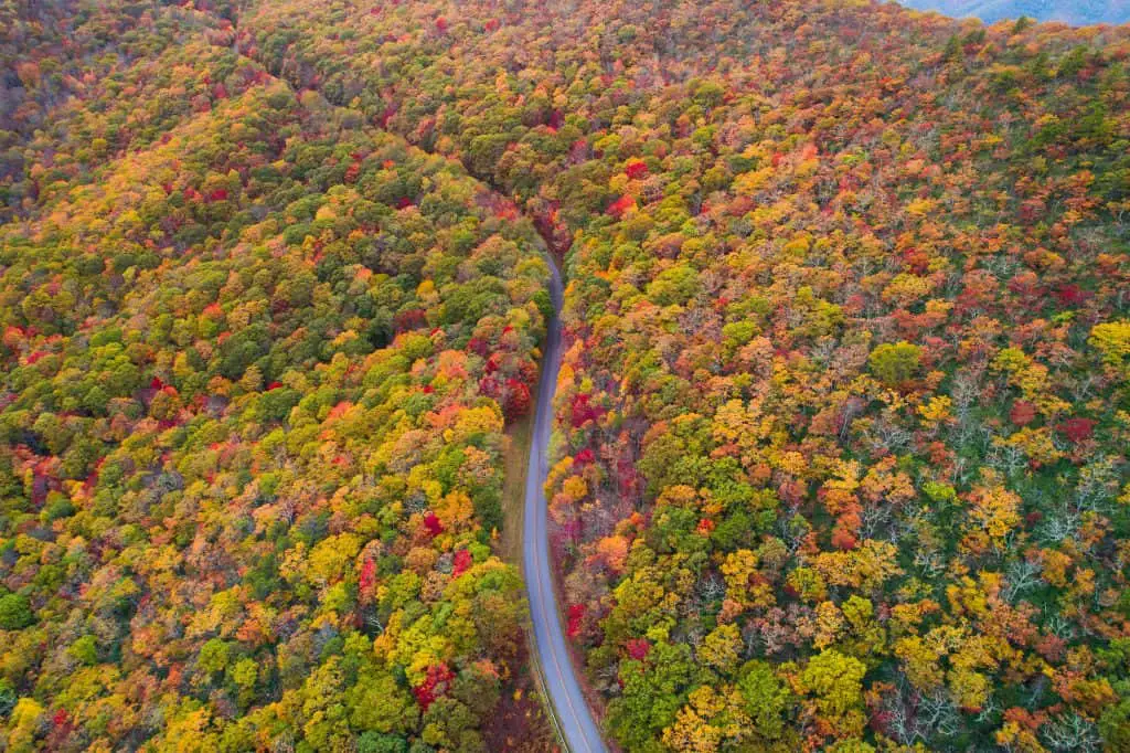 The Blueridge Parway is a top scenic drive in the USA